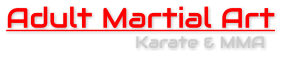 Adult Martial Art Karate & MMA