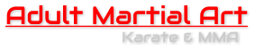 Adult Martial Art Karate & MMA